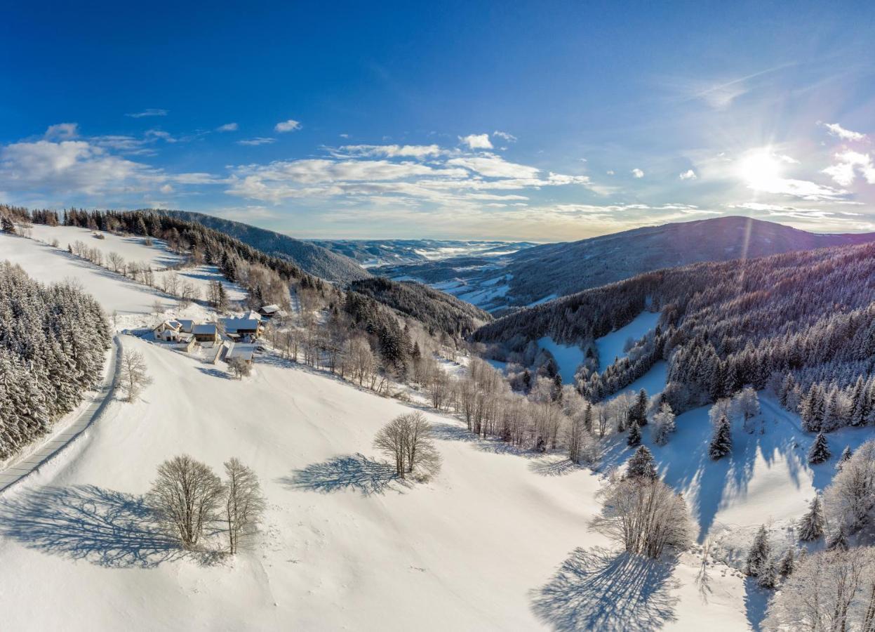 Almbauer Morgenbesser Trattenbach  Екстер'єр фото