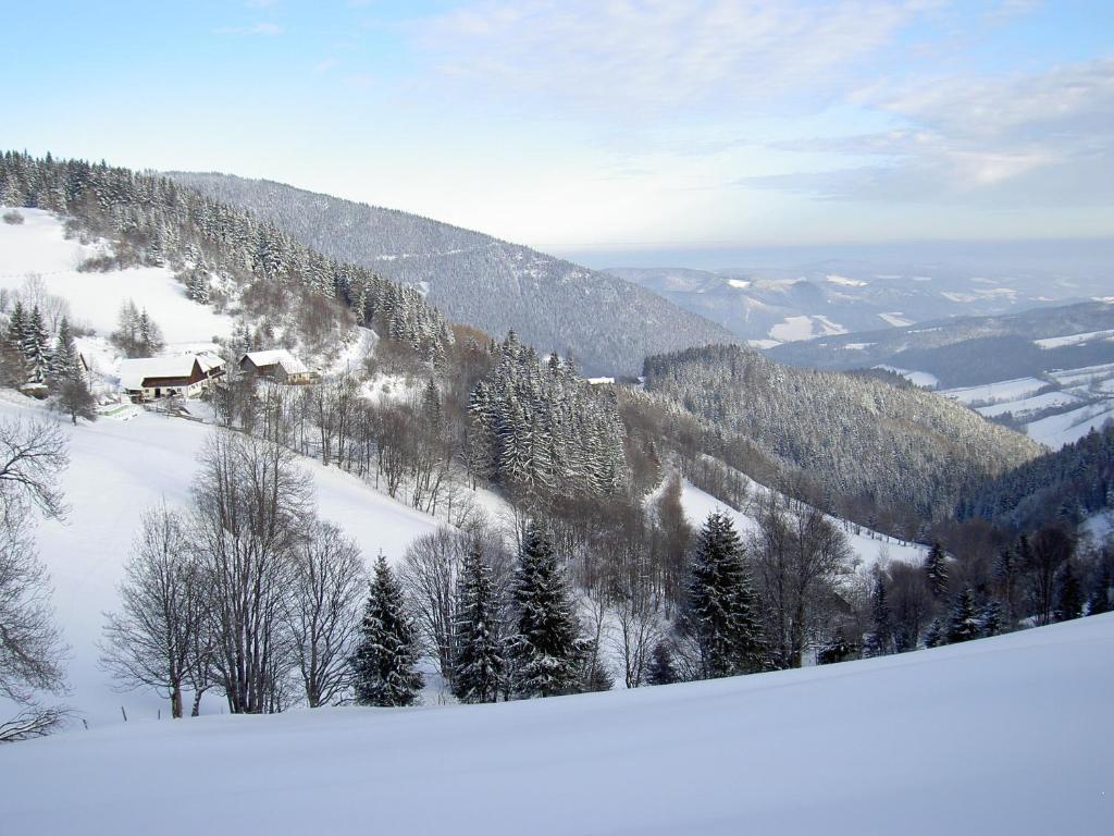Almbauer Morgenbesser Trattenbach  Екстер'єр фото